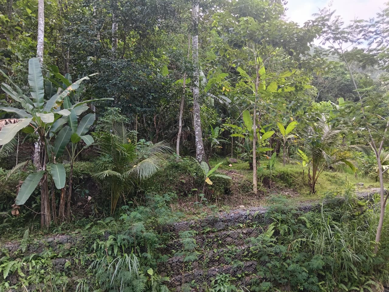 Tebing batu penahan tanah dan kemiringan bukit Batu Layar