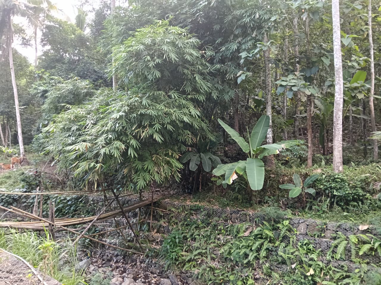 Sisi pandang panorama hijau dari puncak bukit Batu Layar